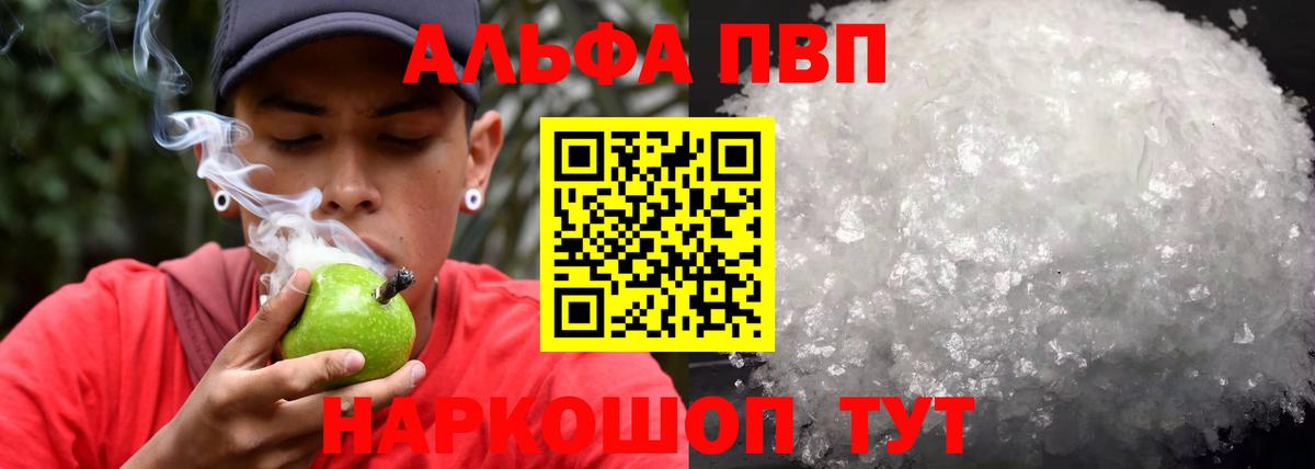 A-PVP СК КРИС Элиста