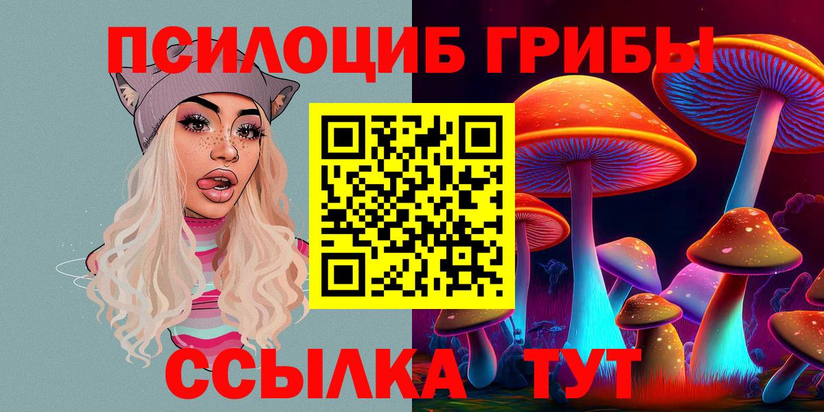 Галлюциногенные грибы Psilocybe  купить наркотик  Псилоцибиновые грибы мухоморы  Элиста  Вход с VPN 