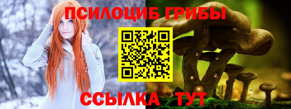 Псилоцибиновые грибы мухоморы Элиста